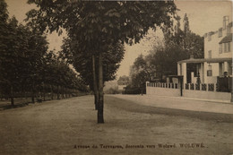 Bruxelles - Woluwe // Avenue Tervueren Descente Vers Woluwe 1913 Rare - Woluwe-St-Pierre - St-Pieters-Woluwe