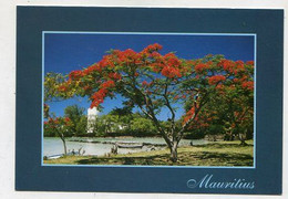 AK 111792 MAURITIUS - Flamboyants à Grand Gaube - Maurice