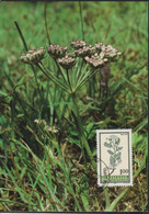 1993 Liechtenstein MC 119 Mi:LI 1071°, Yt:LI 1012°, Zum:LI 1013°, Hortus Botanicus, Hügel-Sesel, Seseli Annuum - Storia Postale