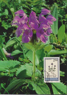 1993 Liechtenstein MC 119 Mi:LI 1072°, Yt:LI 1013°, Zum:LI 1014°, Hortus Botanicus, Grossblütige Brunelle, - Medicinal Plants