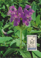 1993 Liechtenstein MC 119 Mi:LI 1072°, Yt:LI 1013°, Zum:LI 1014°, Hortus Botanicus, Grossblütige Brunelle, - Storia Postale