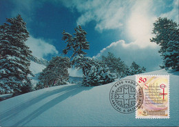 1993 Liechtenstein MC 120 Mi:LI 1074°, Yt:LI 1015°, Zum:LI 1016°, Weihnachten, Th. Friedrich Gedicht, Winterlandschaft - Storia Postale