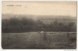 04744g PRAIRIE - Bétail - Paysage - Grand'Hez - 1913 - Bouillon