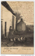 07094g ARDENNES - Le Manger Des Poules - 1906 - Vresse-sur-Semois
