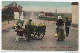 08547g CHARRETTE à CHIEN - Laitières - Colère Et Dépit - 1906 - Carte Colorisée - Landen