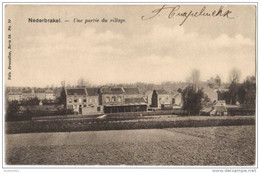 08828g CHAMPS De CULTURE - Une Partie Du Village - Nederbrakel - 1903 - Brakel