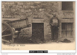 10520g L'AVEUGLE DE WALZIN - "The Blind Man" - 1905 - Dinant