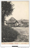 11503g MONT De La TRINITÉ - Paysage - Kain - 1907 - Tournai