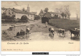 11538g CHAMPS De CULTURE - Rivière - Pont - Bétail - Cowan - La-Roche-en-Ardenne