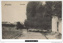 11574g TROUPEAU - BERGER - Nivelles - Nijvel