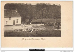 11623g FERME De L'Ermitage - Thuin - Thuin