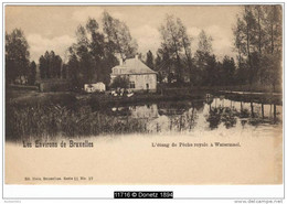 11716g ETANG De PÊCHE - Watermael - Watermael-Boitsfort - Watermaal-Bosvoorde