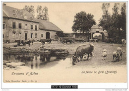 11721g ABREUVOIR - FERME De Birel - Birelhof - Arlon