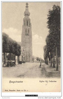 12114g EGLISE Ste Catherine - Hoogstraeten - Hoogstraten