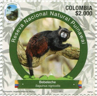 Lote 2020-23.4, Colombia, 2020, Sello, Stamp, Natural Park, VI Issue, Saguinus Nigricolis, Primate - Colombie