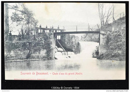 13904g CHUTE D'EAU Du Grand MOULIN - Beaumont - 1907 - Beaumont