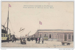 17313g GARE MARITIME - HANGAR Sur Le MOLE - Zee-Brugge - Colorisée - Zeebrugge