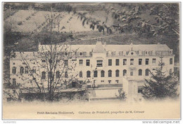 17782g CHAMPS De CULTURE - CHATEAU De PETAHEID - Propr. M. Crémer - Petit-Rechain-Hodimont - 1924 - Verviers