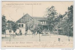 18302g HAYNSBURG - Gasthaus Und Sommerfrische - 1905 - Zeitz