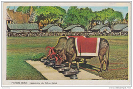 19367g PHNOM-PENH - Cérémonie Du Sillon Sacré - Cambodge