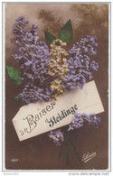 19571g Un BAISER De SLEIDINGE - Lilas - Evergem