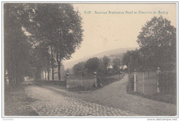 19587g Avenue ALPHONSE NEEF - CHEMIN De BAORY - Tilff - 1914 (D) - Esneux