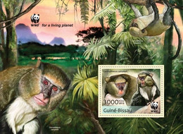 Guinea Bissau 2013, WWF, Monkeys, BF - Chimpansees