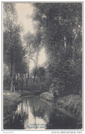 21703g BORDS Du GEER - Roclenge - 1908 - Bassenge