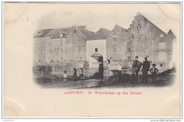 23539g WATERMOLEN -  DEMER - MOULIN - Aarschot - 1902 - Aarschot