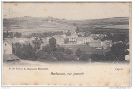 23759g VILLAGE - CHAMPS De CULTURE - PANORAMA - Herbemont - 1905 - Herbeumont