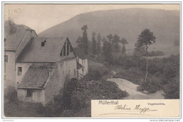 24035g MULLERTHAL - Vogelsmühle - 1905 - Müllerthal