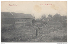 24309g FERME St HERMES - Russeignies - 1908 - Mont-de-l'Enclus