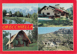 CARTOLINA  ORECCHIELLA M.1250,LUCCA,TOSCANA,PARCO DEMANIALE DELL'ORECCHIELLA,STORIA,MEMORIA,CULTURA,VIAGGIATA 1988 - Lucca