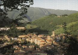 CARTOLINA  GARFAGNANA,LUCCA,TOSCANA,CASTELNUOVO DI GARFAGNANA-PANORAMA-MEMORIA,CULTURA,BELLA ITALIA,VIAGGIATA 1989 - Lucca