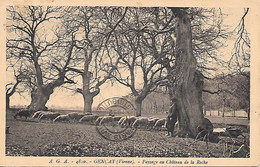 GENCAY ( 86 ) -  Paysage Au Château De La Roche ( Points De Colle Au Dos ) - Gencay