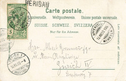 86D/3: Bahnpost Appenzell-Winkeln, Stabstempel Herisau (BP1118) - Ferrocarril