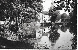 SAINT BENOIT ( 86 ) -  Les Bords Du Clain Au Moulin ( C.P.S.M. , It - Ft ) - Saint Benoît