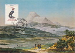 1994 Liechtenstein MC 122 Mi:LI 1079°, Yt:LI 1020°, Zum:LI 1021°,EUROPA, A.v. Humboldt,Entdeckungen, Vultur Gryphus Lin - Cartas & Documentos