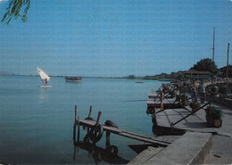 CARTOLINA  TORRE DEL LAGO,LUCCA,TOSCANA,LUNGOLAGO-STORIA,MEMORIA,CULTURA,RELIGIONE,BELLA ITALIA,VIAGGIATA 1983 - Lucca