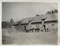 Agriculture - Photo Ancienne - Un Intérieur De Ferme , à Localiser - Attelage Chevaux - Farms