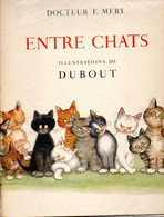 Bradé Et PORT R2 OFFERT !   :   Entre Chats  Du Dr F. Mery  Illustrations De DUBOUT - Disegni Originali