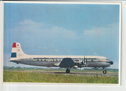 Vintage Pc KLM K.L.M Royal Dutch Airlines Douglas Dc-6B Aircraft - 1919-1938: Entre Guerres