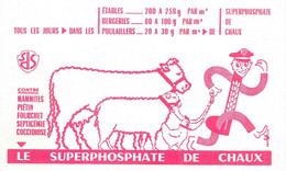 LE SUPERPHOSPHATE DE CHAUX - Agricoltura