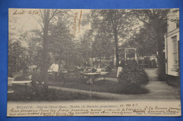 Wilryck 1905: Hôtel Du Cheval Blanc - Jardin - Animée - Sonstige & Ohne Zuordnung