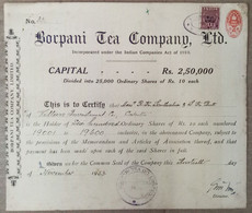 INDIA 1953 BORPANI TEA COMPANY LIMITED, TEA GARDEN, TEA ESTATE.....SHARE CERTIFICATE - Landwirtschaft