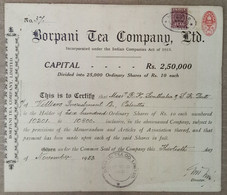 INDIA 1953 BORPANI TEA COMPANY LIMITED, TEA GARDEN, TEA ESTATE.....SHARE CERTIFICATE - Landbouw