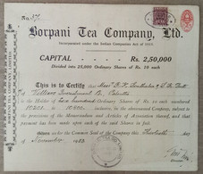 INDIA 1953 BORPANI TEA COMPANY LIMITED, TEA GARDEN, TEA ESTATE.....SHARE CERTIFICATE - Agriculture