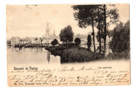 TEMSE - Souvenir De Tamise - Vue Générale - Verzonden In 1901 - Uitgave Nels Serie 70 No 3 - Temse