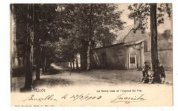 UKKEL - Uccle - Le Ferme Rose Et L' Avenue De Fré - Verzonden In 1902 - Uitgave Nels - Serie 11 No 302 - Uccle - Ukkel