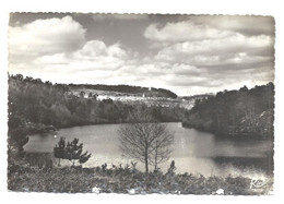 Vue Générale à CAUREL - Lac De Guerlédan - N°3039 REMA éd. - Caurel